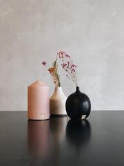 Samtökin '78 #100 reasons #100vases